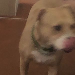 Meet your Posher, Gabriel